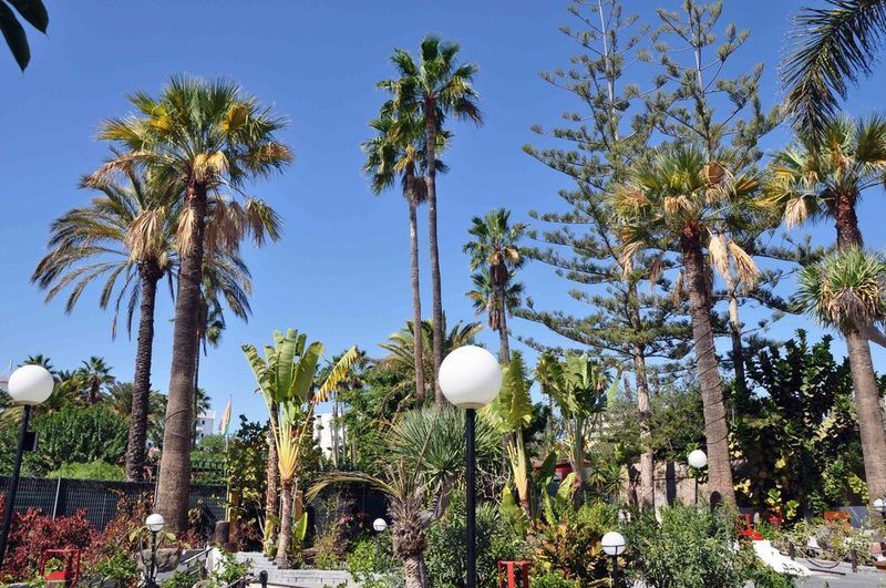 San Valentin & Terraflor Park Hotel Playa del Ingles  Bagian luar foto