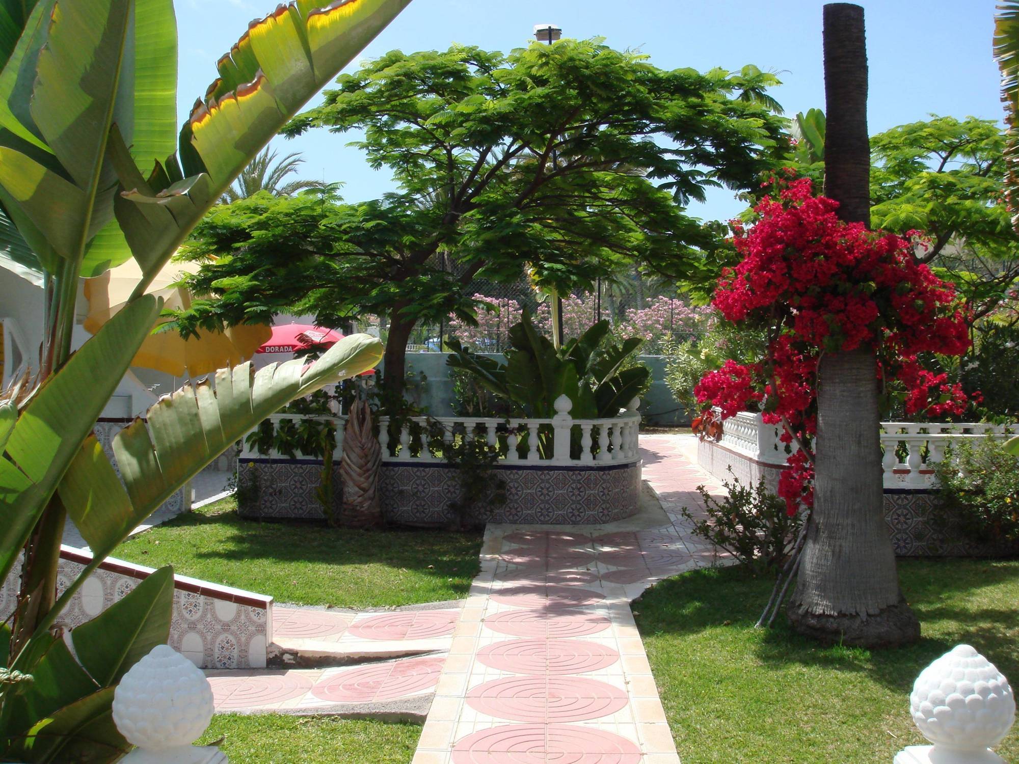 San Valentin & Terraflor Park Hotel Playa del Ingles  Bagian luar foto